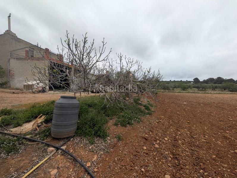 Foto 7066039a-b989-4a0b-ba1c-a639dd84476f. Landgut in closa de Vinaròs - ermita Vinaròs