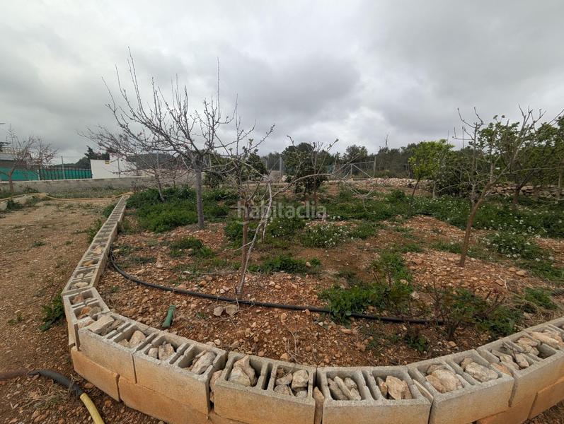 Foto 1184bd24-dcab-48d5-9bde-8b92acac6cc9. Rural plot in closa de Vinaròs - ermita Vinaròs