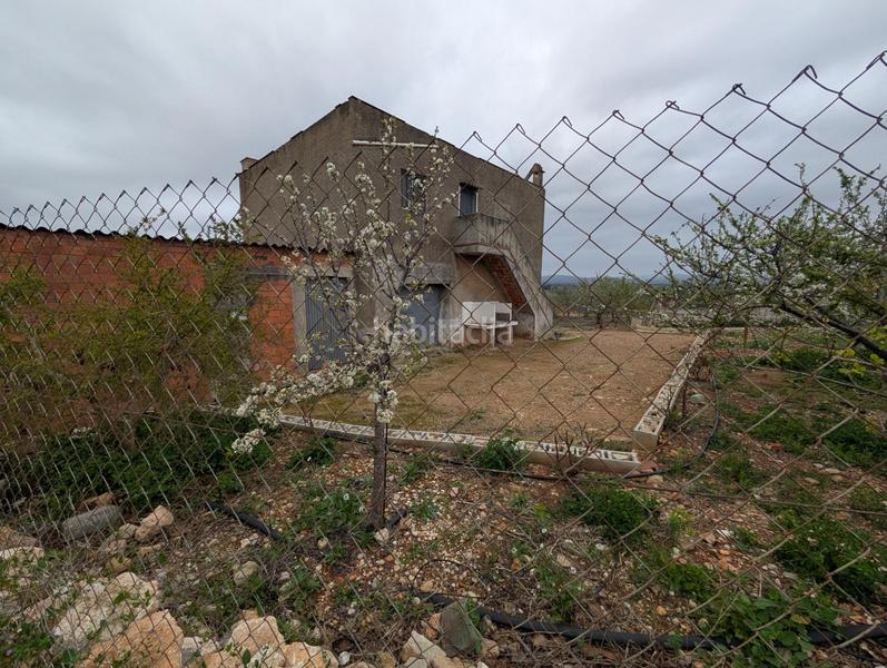 Foto 17ace90b-bb31-4e5b-9165-db7337ff238c. Rural plot in closa de Vinaròs - ermita Vinaròs