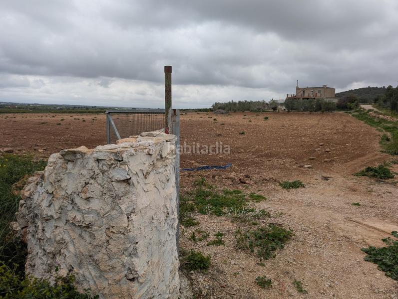 Foto 2f22914d-d494-469b-9d01-8f59c02d62de. Rural plot in closa de Vinaròs - ermita Vinaròs