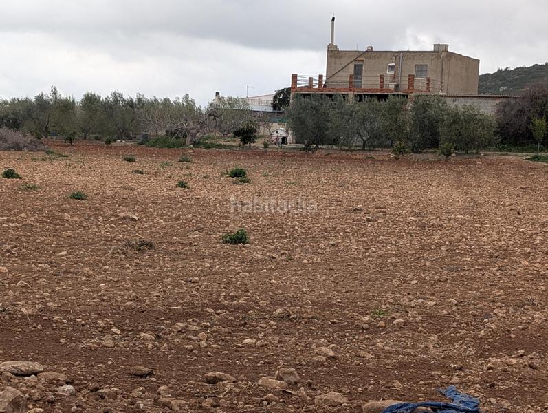 Foto 4ff0fb9e-374a-4366-bdfd-1663dcb65e3b. Rural plot in closa de Vinaròs - ermita Vinaròs