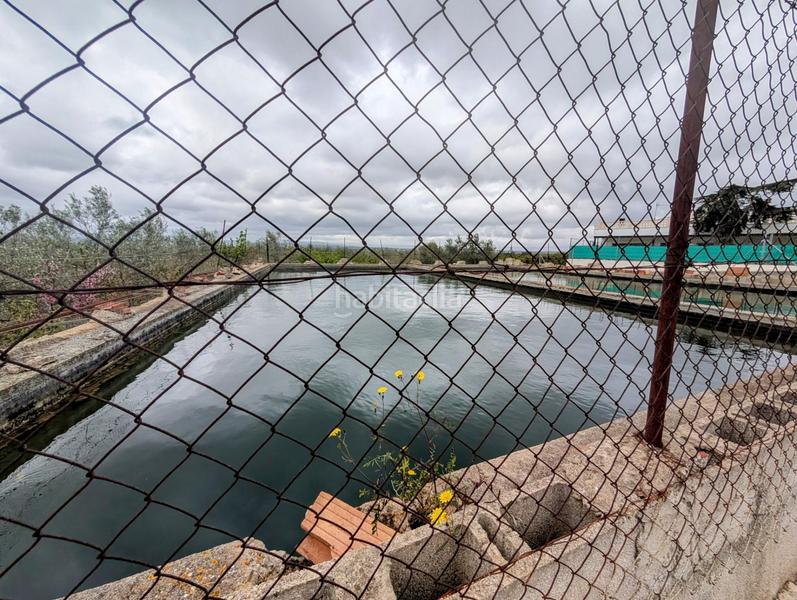 Foto b3031123-2645-493c-a4d9-a3573f0de6a0. Rural plot in closa de Vinaròs - ermita Vinaròs