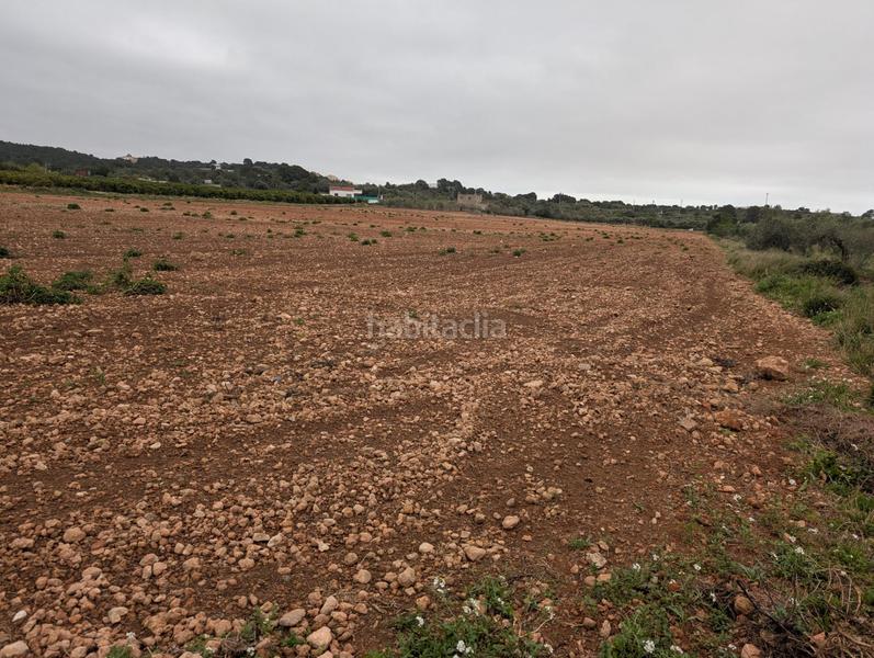 Foto 0a7eacaa-4d19-44f7-bacb-9a9a0b62d1a1. Finca rústica en closa de Vinaròs - ermita Vinaròs