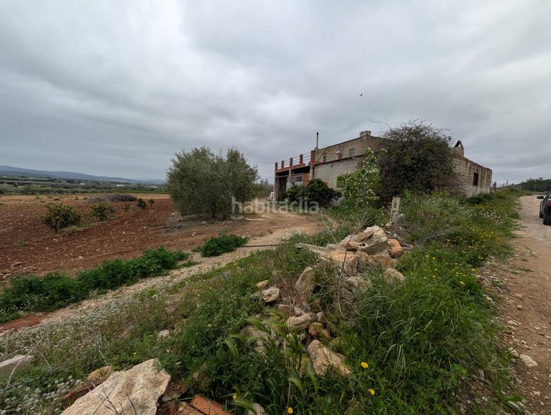 Foto 0fed6a33-1838-4881-a78f-5f941cdc54f0. Finca rústica en closa de Vinaròs - ermita Vinaròs