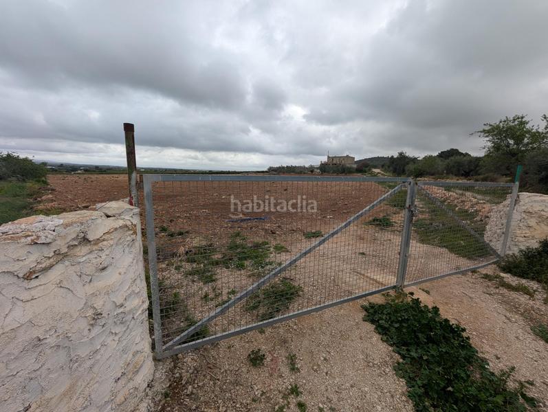 Foto 22d2c188-e6b1-47af-99d0-aebcebbd6de3. Finca rústica en closa de Vinaròs - ermita Vinaròs