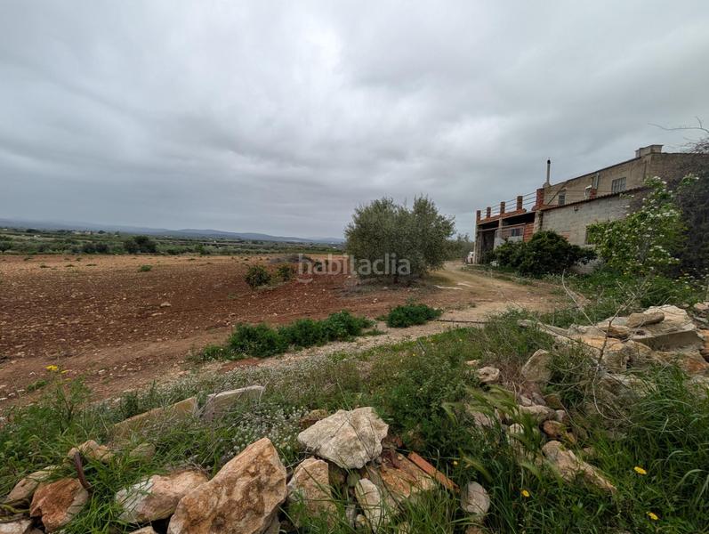 Foto 46159eb8-85ca-4155-a61d-9d38938b79ac. Finca rústica en closa de Vinaròs - ermita Vinaròs