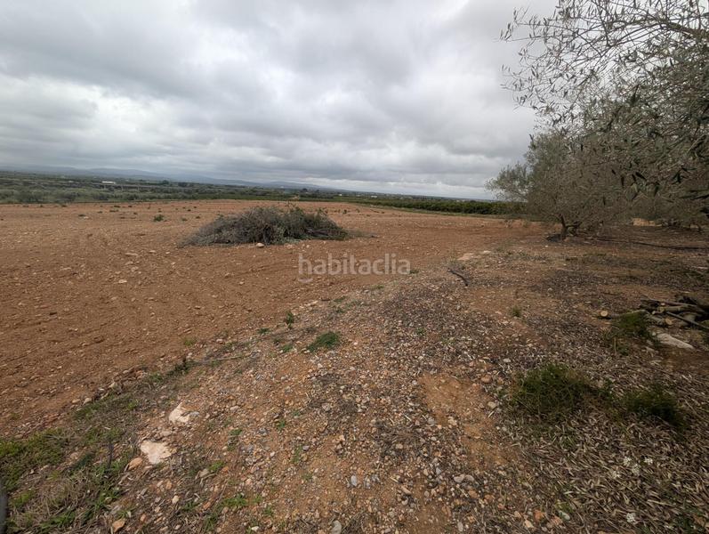 Foto 4b8f76cc-db24-4894-8e1f-4dad89449660. Finca rústica en closa de Vinaròs - ermita Vinaròs