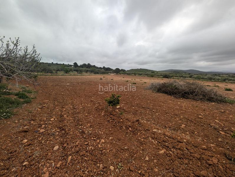 Foto 5d588c35-6382-433a-9cde-6a85c27e9eee. Finca rústica en closa de Vinaròs - ermita Vinaròs