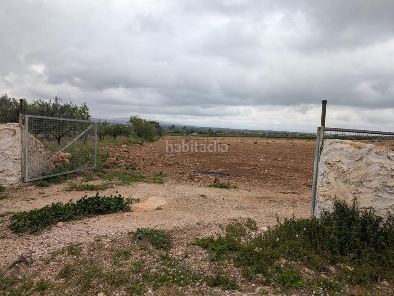 Foto 5ea3b591-c96d-439f-9e7e-eb6547d89a40. Finca rústica en closa de Vinaròs - ermita Vinaròs