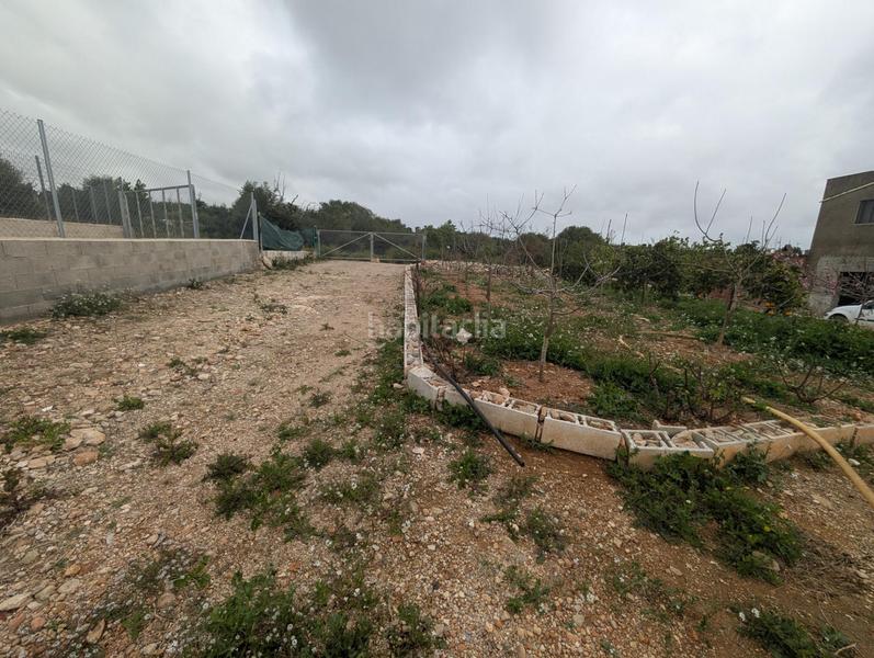 Foto 6e48c0c1-932c-4771-92c9-43086418ec20. Finca rústica en closa de Vinaròs - ermita Vinaròs