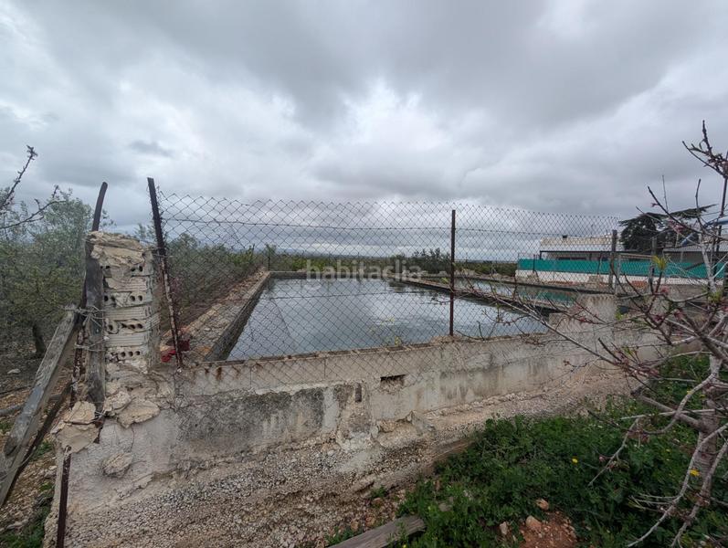 Foto a2f85230-f9cf-4013-8d23-e3cade70a061. Finca rústica en closa de Vinaròs - ermita Vinaròs