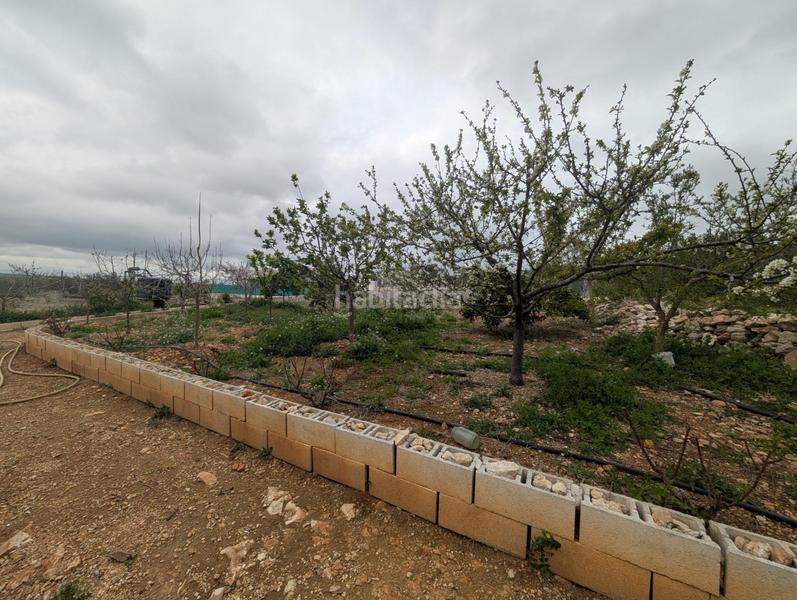 Foto aab4db81-8d45-4d45-9de1-605bda605520. Finca rústica en closa de Vinaròs - ermita Vinaròs