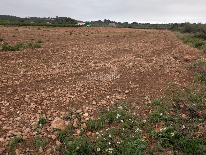 Foto df9e136c-f655-4008-a37d-7883f4c6fd68. Finca rústica en closa de Vinaròs - ermita Vinaròs