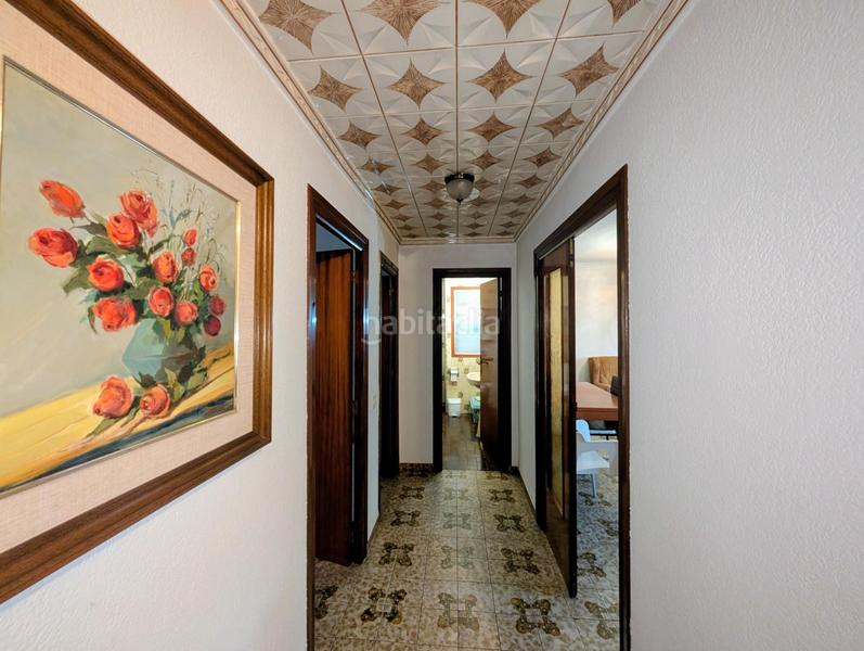 Foto 41c8c710-3cfe-4cf7-8e71-38a927e6e361. Pis a Alcanar