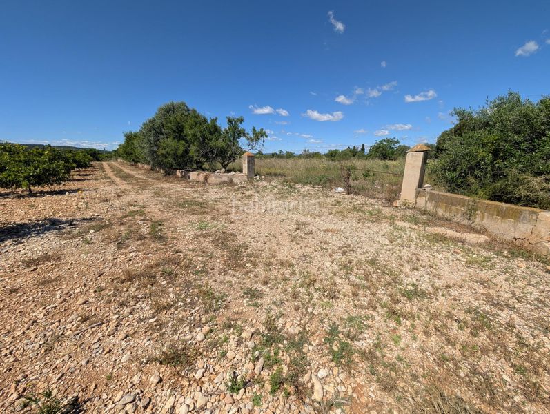 Foto fe5e07f4-b268-4881-a0f6-8eedb66f17b2. Finca rústica a Partidas de Interior - Zona Rústica Vinaròs