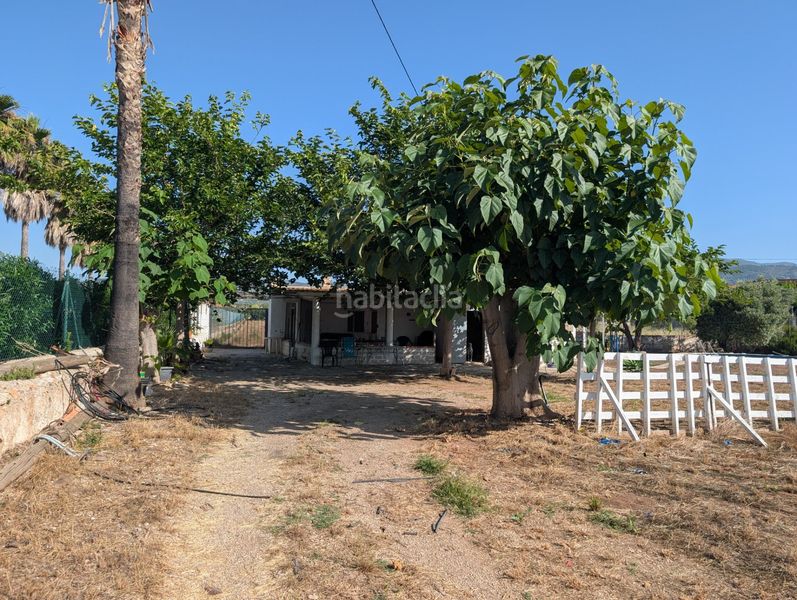 Foto 09b4e673-5e8d-4ad5-afd0-e9222d6dfd95. Terreny residencial a Alcanar