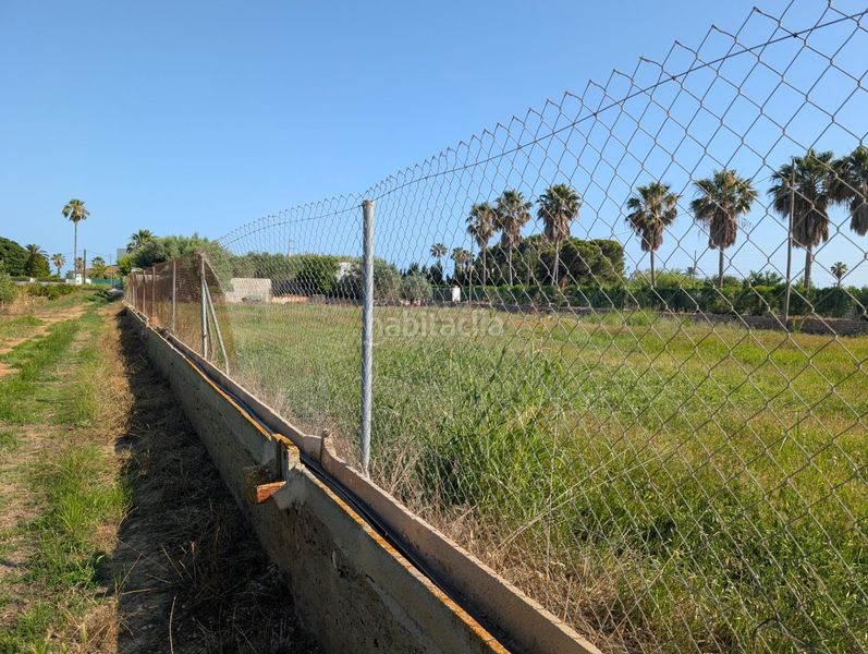 Foto b19ed435-5915-4c31-bd30-f69e09e2491b. Terreny residencial a Alcanar