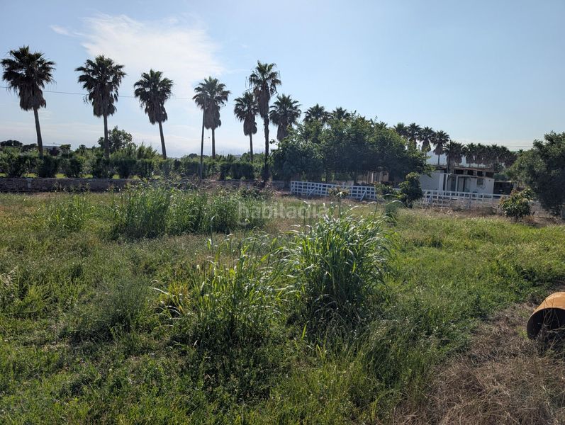 Foto b56c386e-99d0-4f8a-bc2a-823994408759. Terreny residencial a Alcanar