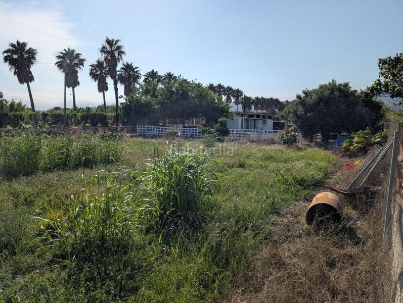 Foto fbfb5551-c6ee-44c5-9327-9d76ca0f60ef. Terreny residencial a Alcanar