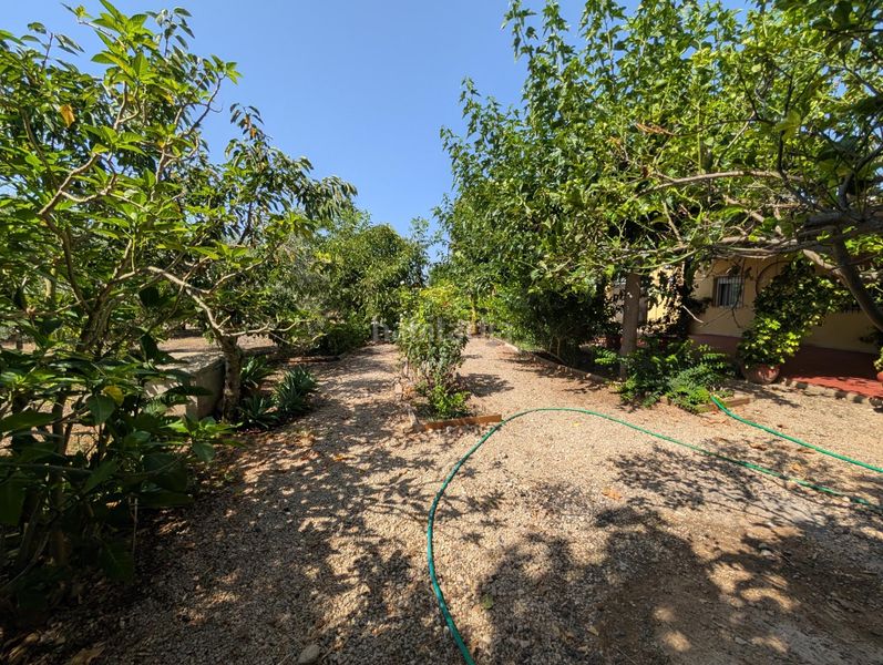 Foto 32944687-0340-44ce-9e35-745c506fa213. Country house with parking in Alcanar
