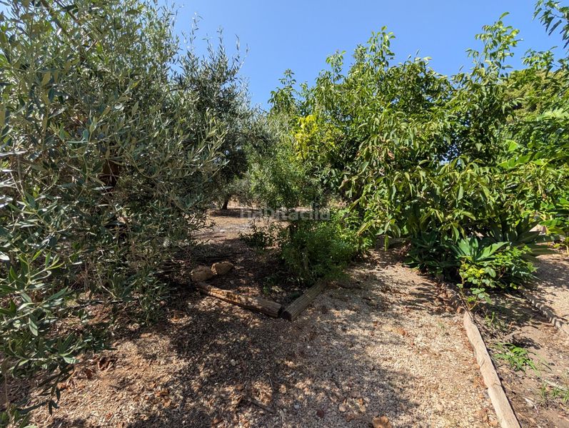 Foto 480df05c-5809-4358-9ddb-dca910b3cfa2. Country house with parking in Alcanar