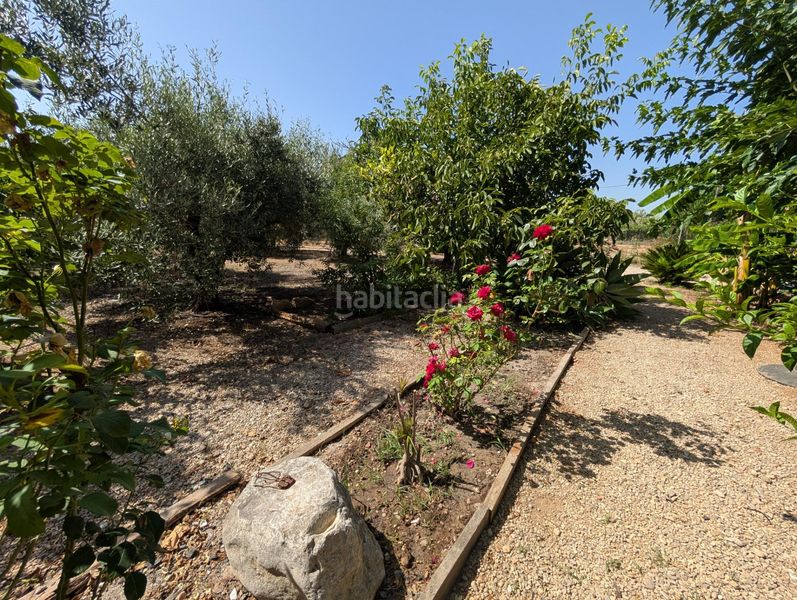 Foto 496e85ab-6451-445c-bfb5-d91e7bf795ca. Country house with parking in Alcanar