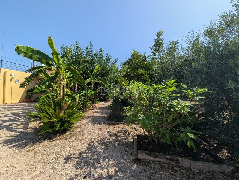 Foto ba4f4613-f2a0-4aec-88f3-ef8a42c96883. Country house with parking in Alcanar