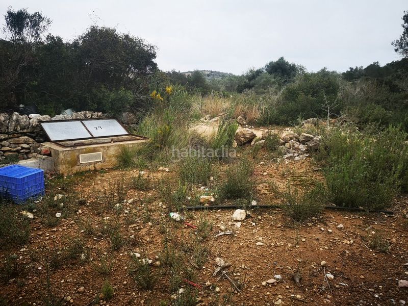 Foto c2202324-9102-40ac-9815-199841eb7ca4. Finca rústica a Ulldecona