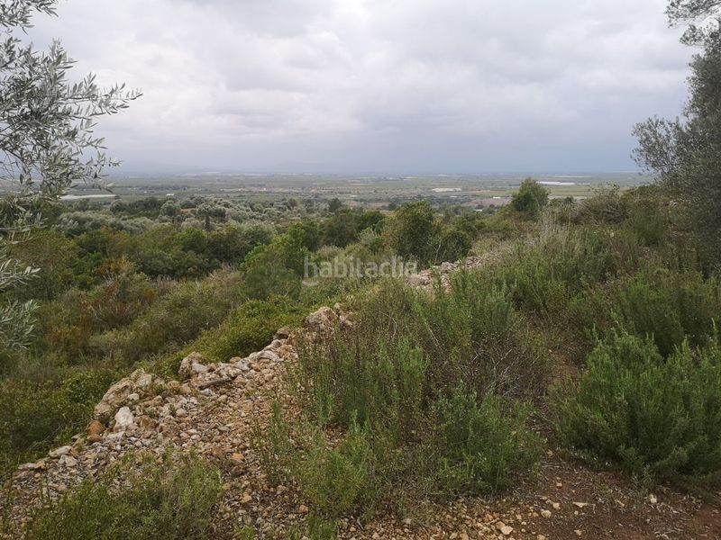 Foto d5dd59fa-f484-461f-93e7-93c988ff6127. Finca rústica a Ulldecona