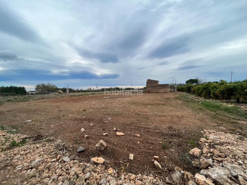 Foto a4afc080-97d9-47f4-abc1-ad05bdd84878. Propriété dans Alcanar