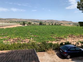 Finca rústica a Pedanías Oeste. Finca rúst. en venta en alcaná.