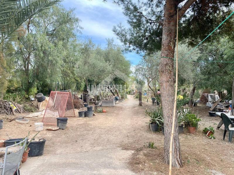 Foto 2ce322dd-8f07-4ebf-bbc4-b75656f1c76b. Masia a Pedanías Oeste Aspe