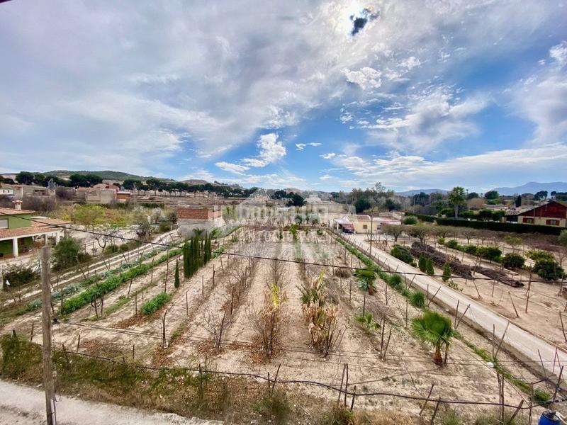 Foto 3757c50a-c656-4af1-a901-103e7736b107. Masia a Pedanías Oeste Aspe