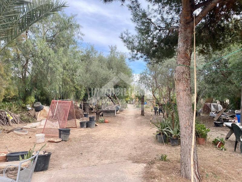 Foto 5f0b81ed-d460-49e0-9e6f-6dddb66fe09f. Masia a Pedanías Oeste Aspe