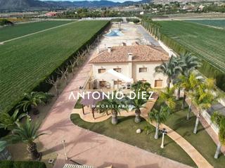 Xalet a Pedanías Oeste. Chalet en venta en aspe, 5 dormitorios.