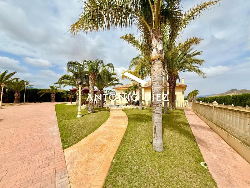 Foto e6b73874-8b63-4ef8-b0cd-a09c05d8e1cf. Chalet avec parking dans Pedanías Oeste Aspe