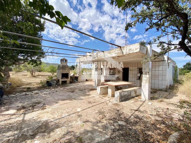 Foto a86da8d6-e9c1-4983-a241-30a1da160c91. Mas dans Pedanías Oeste Aspe