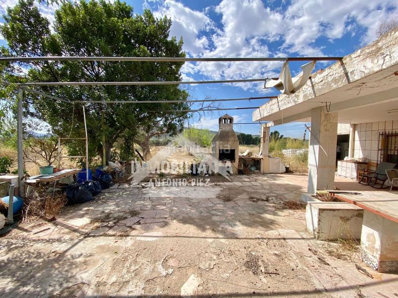 Foto aba33321-0f15-42b3-936f-bceb194e81ab. Mas dans Pedanías Oeste Aspe