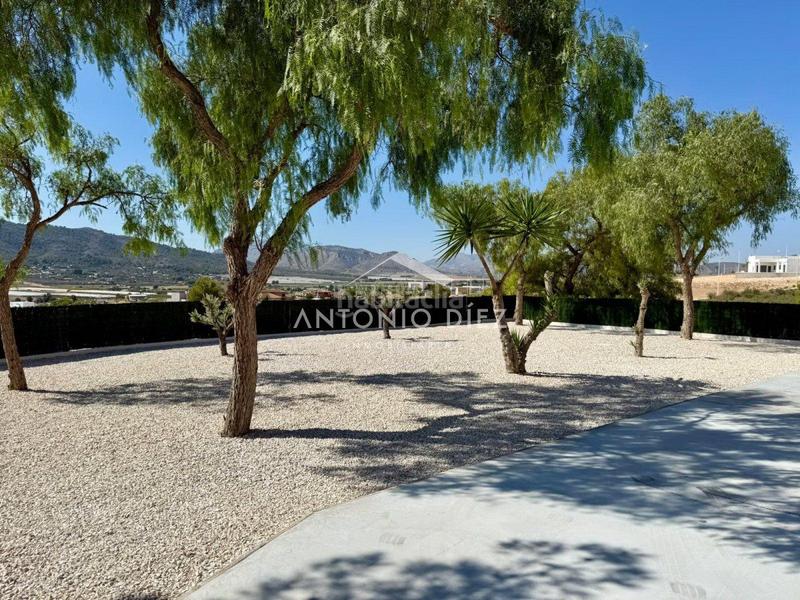 Foto ddf3ea28-09bf-495f-9f20-85fd757322fc. Xalet a Pedanías Oeste Aspe