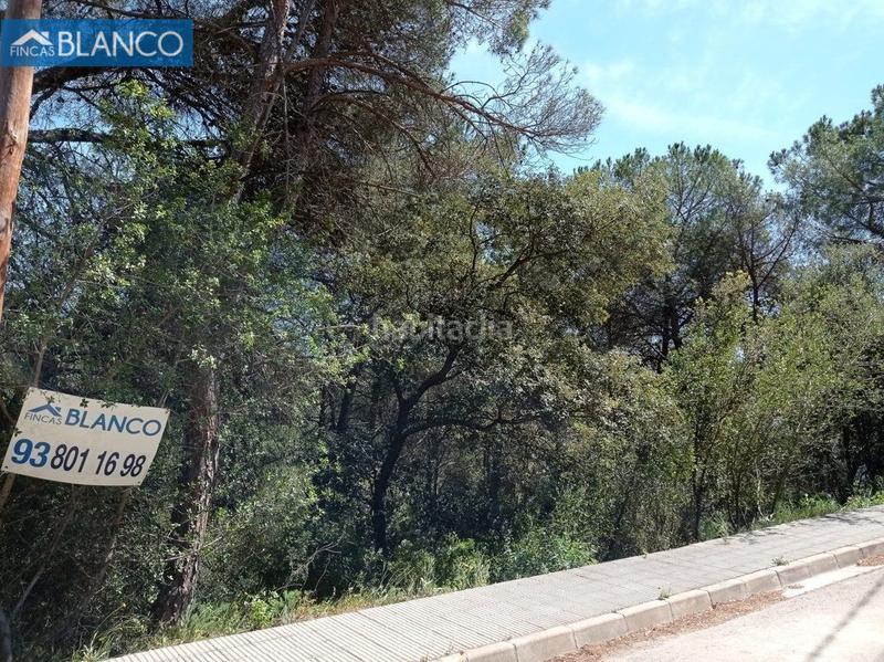 Foto 00d7e812-88d2-4c80-a5b2-41def28a0827. Terreny residencial a Cabrera d´Anoia