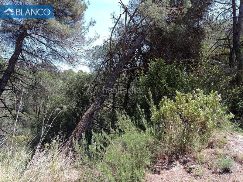 Foto 480a7769-c54e-4642-b3f2-0be1e8d8734c. Terreny residencial a Cabrera d´Anoia