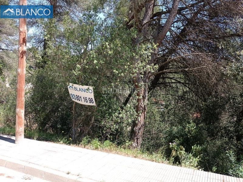 Foto 801f59cc-ed52-4fb9-b7a6-1731932db8bc. Terreny residencial a Cabrera d´Anoia