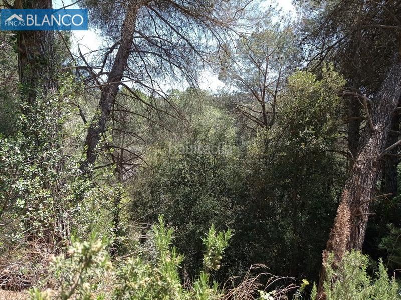 Foto c520434d-925e-4571-b566-33a55889cea5. Terreny residencial a Cabrera d´Anoia