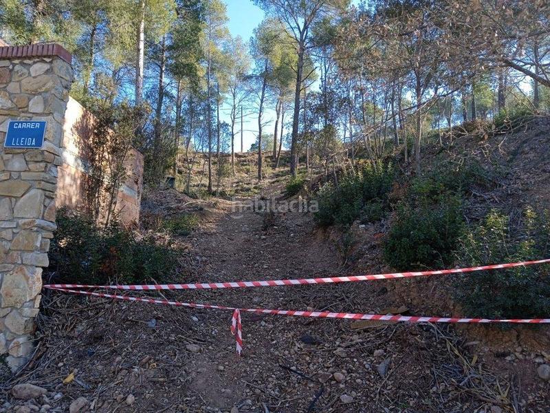 Foto 281a57e4-ba7f-4e46-8de2-1f7d986e71b5. Terreny residencial a Cabrera d´Anoia