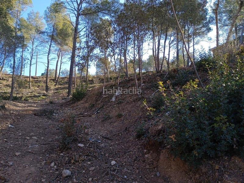 Foto 83584dd4-2250-45a8-8d17-a560b79ddd24. Terreny residencial a Cabrera d´Anoia