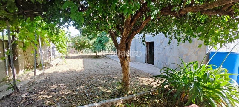 Foto 70a3c6ea-5a1c-4685-8d7a-b6debeb27773. Casa a Piera