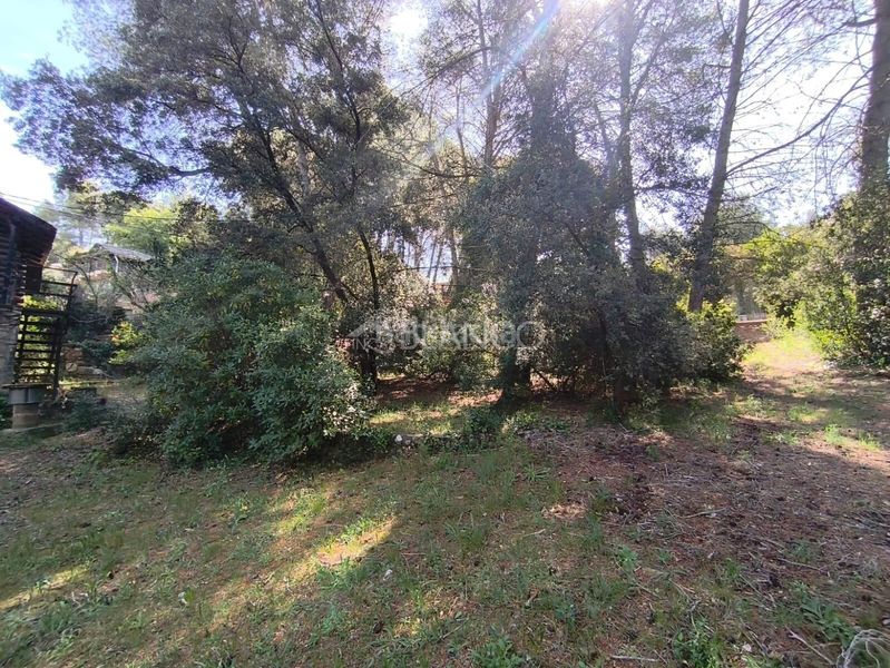 Foto 1fdaa413-ecfa-4924-a3c4-6a8f748138c4. Casa amb aparcament a Piera