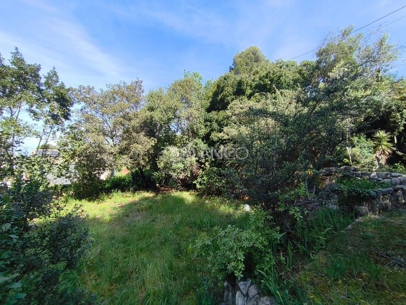 Foto 50eef800-6143-4091-b0e6-3c010d7aec87. Casa amb aparcament a Piera