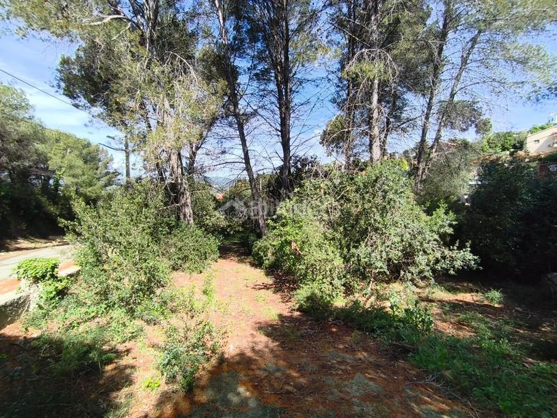 Foto 5a5cd771-7700-41fe-9aec-5232c9b25b2a. Casa amb aparcament a Piera