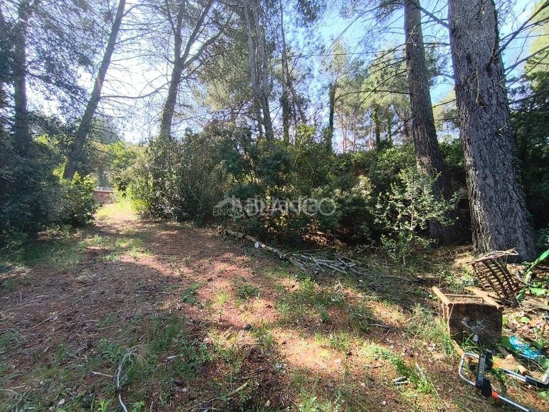 Foto b991b858-ba39-4b7c-ab70-8f8efa1bd9b4. Casa amb aparcament a Piera